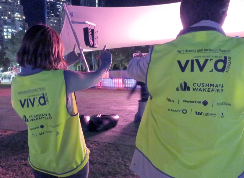 vivid volunteers