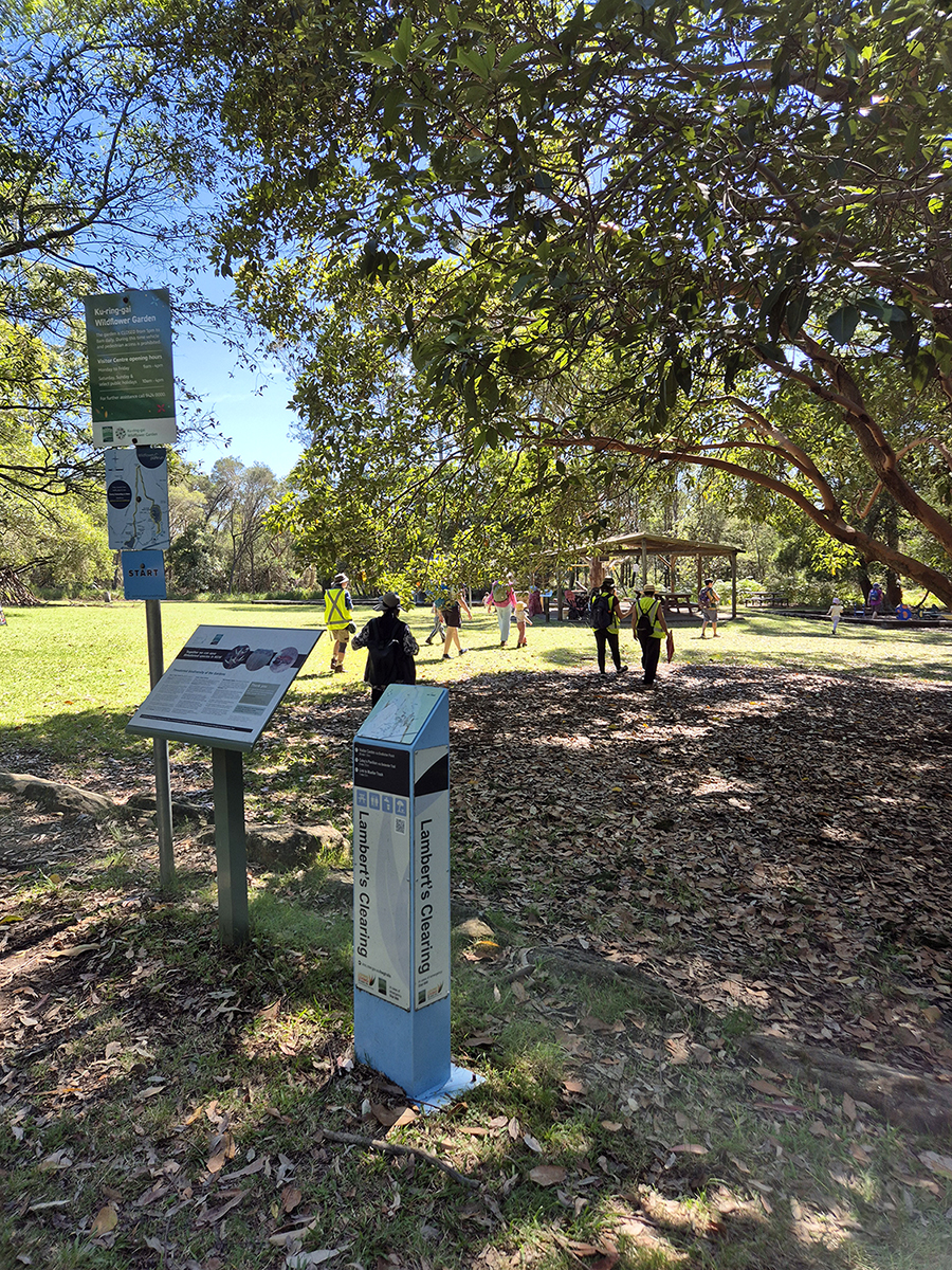 Families heading to Lambert's Clearing for morning tea