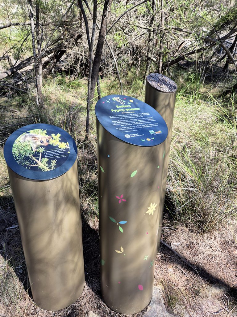 Pygmy Possum poles with information